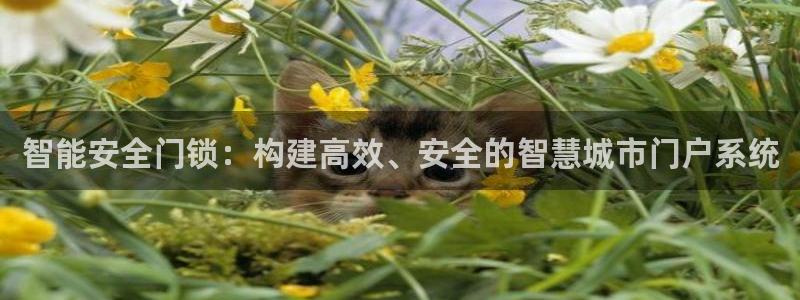 Jdb电子试玩：智能安全门锁：构建高效、安全的智慧城市门户系