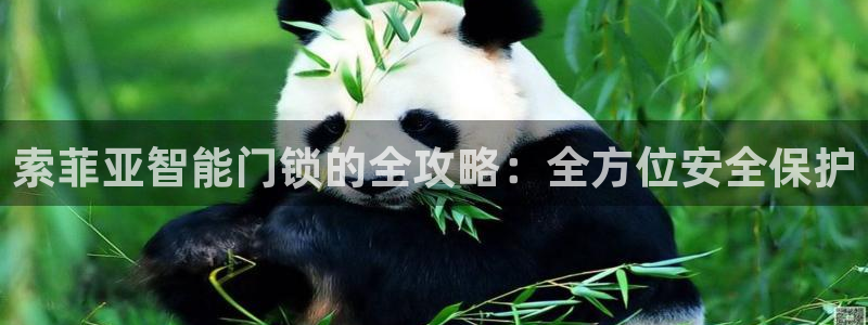 JDB电子攻略：索菲亚智能门锁的全攻略：全方位安全保护