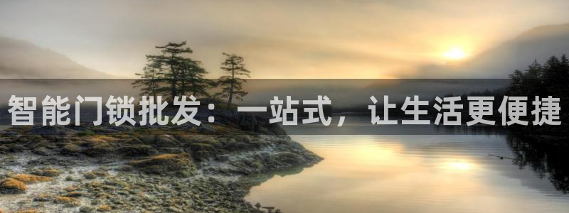 JDB电子猎龙高手官方网站官方网站是多少：智能门锁批发：一站