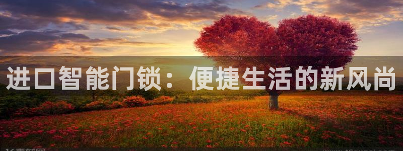 jdb电子游戏技巧：进口智能门锁：便捷生活的新风尚
