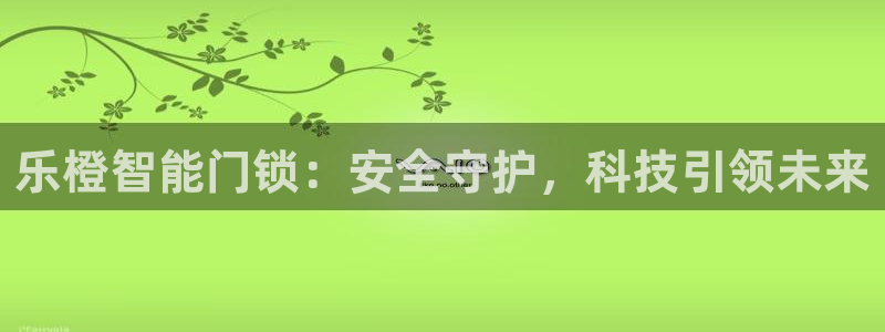 jdb电子飞鸟派对：乐橙智能门锁：安全守护，科技引领未来