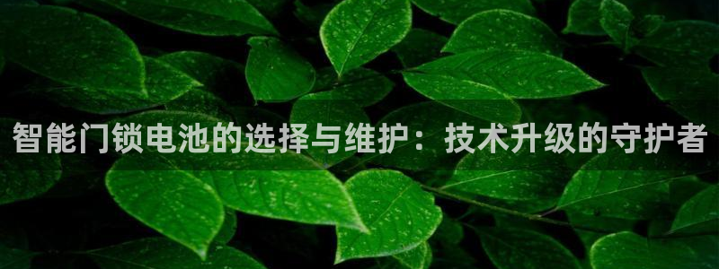 jdb电子试玩平台链接：智能门锁电池的选择与维护：技术升级的