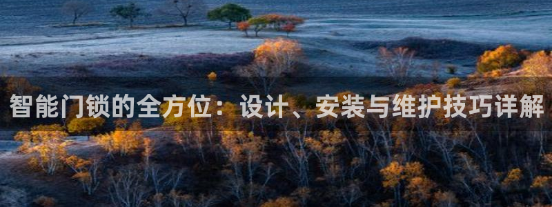 JDB电子官网平台：智能门锁的全方位：设计、安装与维护技巧详