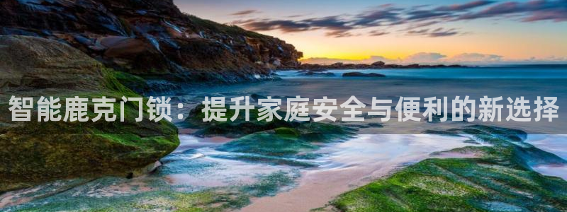 jdba1.3下载：智能鹿克门锁：提升家庭安全与便利的新选择