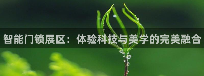 jdb试玩网站：智能门锁展区：体验科技与美学的完美融合