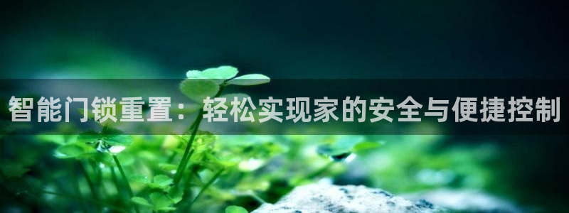 jdb游戏中的累计押分是什么意思：智能门锁重置：轻松实现家的