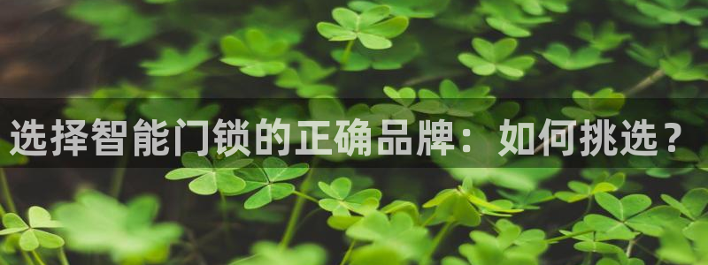 jdb电子首页平台：选择智能门锁的正确品牌：如何挑选？