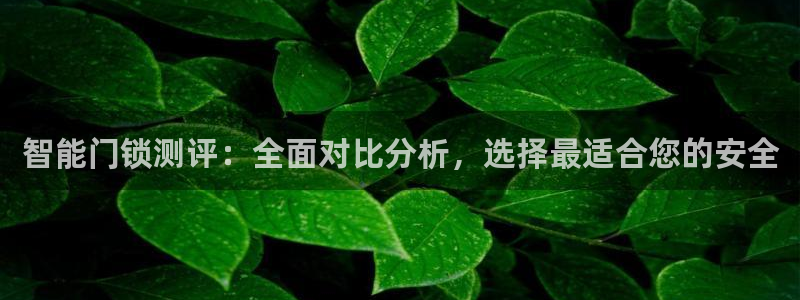 jdb游戏爆分视频：智能门锁测评：全面对比分析，选择最适合您