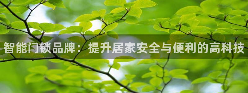Jdb电子平台：智能门锁品牌：提升居家安全与便利的高科技
