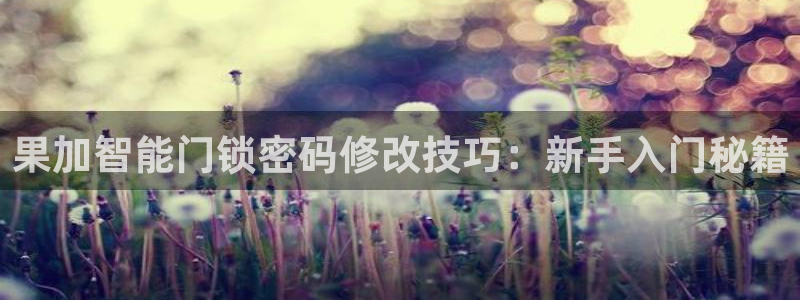 jdb平台app：果加智能门锁密码修改技巧：新手入门秘籍