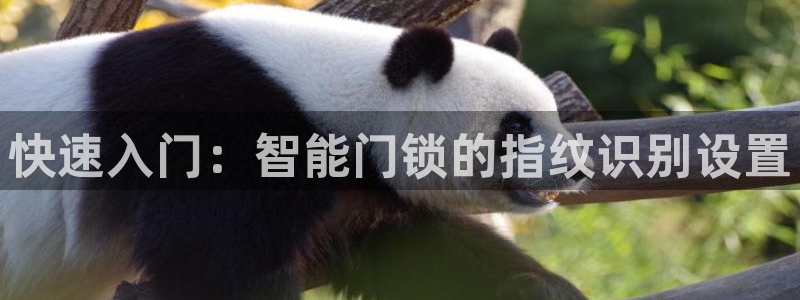 jdb电子中jp大奖：快速入门：智能门锁的指纹识别设置
