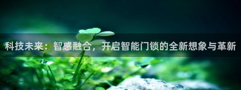 jdbc2.0.apk：科技未来：智感融合，开启智能门锁的全