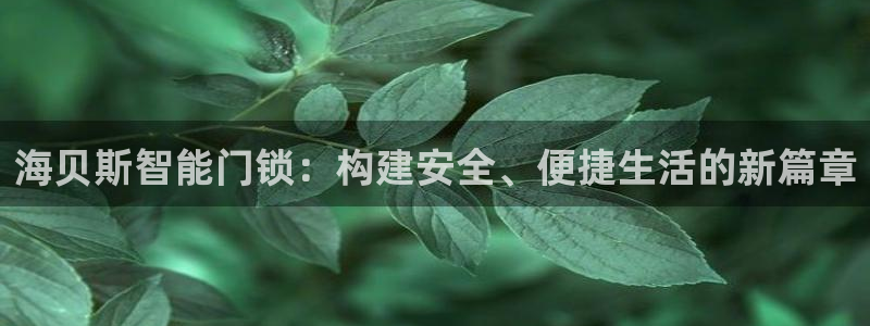 jdb电子输几十万：海贝斯智能门锁：构建安全、便捷生活的新篇