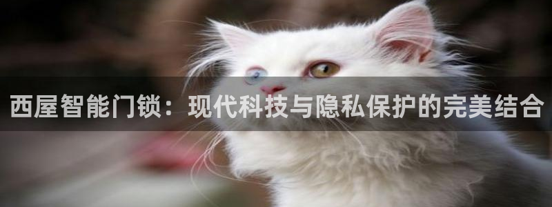 jdb电子首页平台：西屋智能门锁：现代科技与隐私保护的完美结