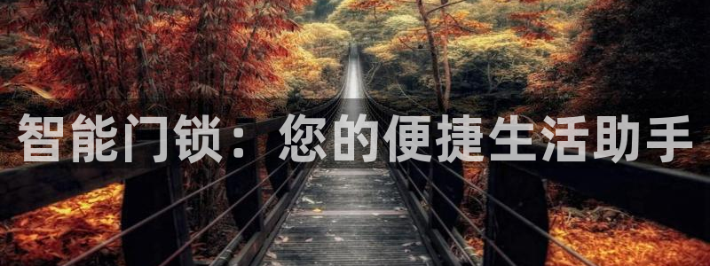 jdb电子飞鸟派对：智能门锁：您的便捷生活助手