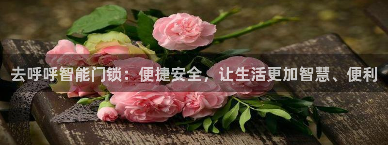 JDB电子游戏变脸大奖：去呼呼智能门锁：便捷安全，让生活更加