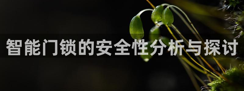 JDB游戏太假：智能门锁的安全性分析与探讨