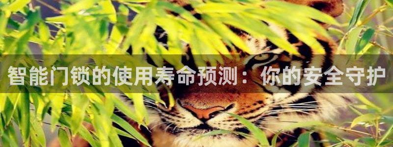 JDB电子游戏大奖：智能门锁的使用寿命预测：你的安全守护