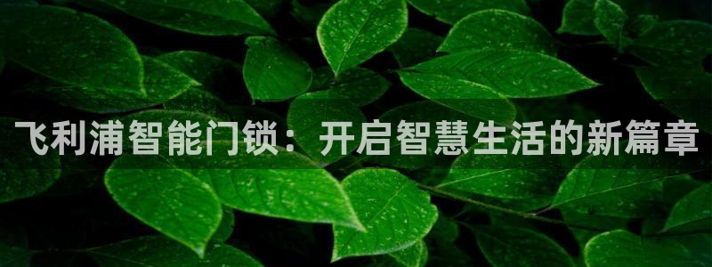 jdb试玩版：飞利浦智能门锁：开启智慧生活的新篇章