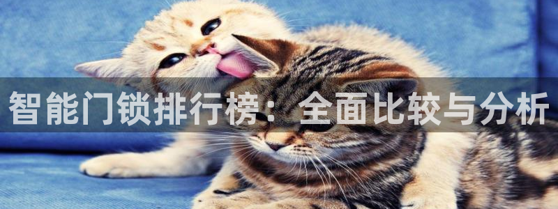 jdb变脸爆分视频：智能门锁排行榜：全面比较与分析