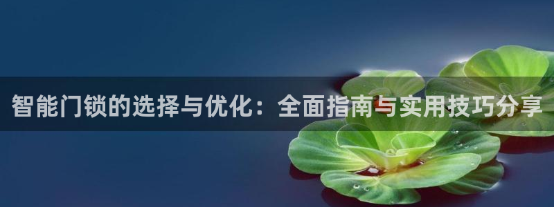 jdb电子平台地址大全：智能门锁的选择与优化：全面指南与实用