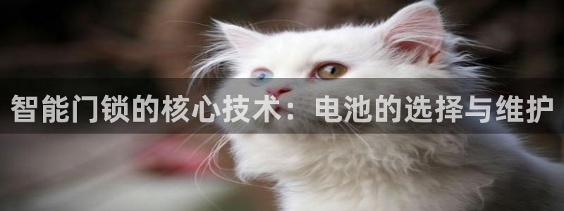jdb电子游戏爆大奖图片：智能门锁的核心技术：电池的选择与维