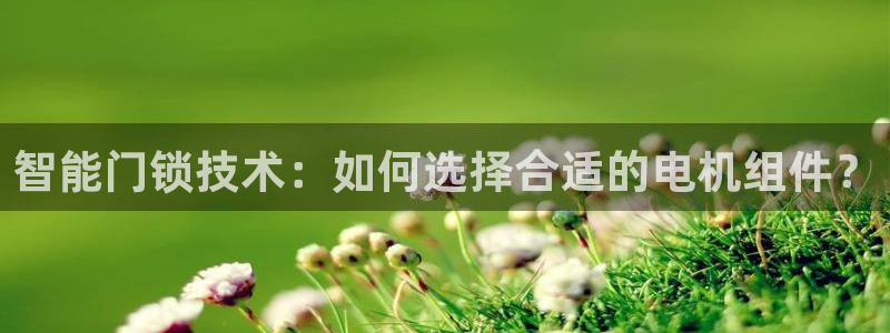 jdb电子游戏辅助器：智能门锁技术：如何选择合适的电机组件？