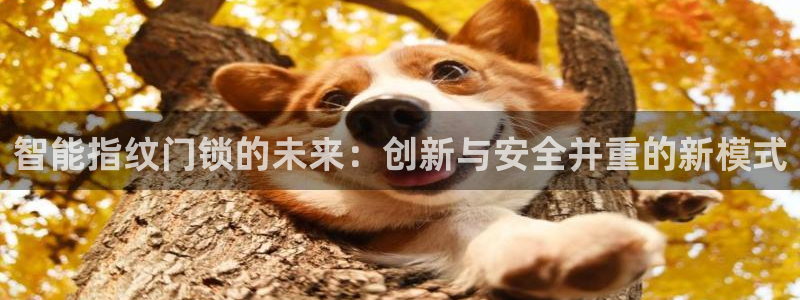 jdb电子麻将胡了：智能指纹门锁的未来：创新与安全并重的新模
