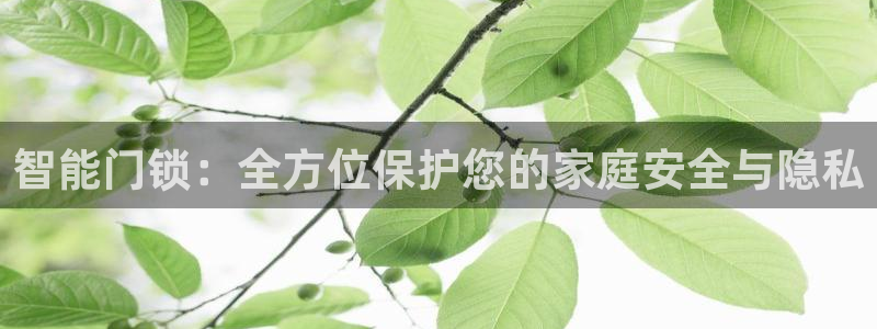 jdb电子夺宝试玩版：智能门锁：全方位保护您的家庭安全与隐私