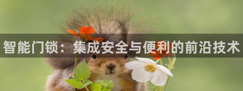 JDB电子JP彩金：智能门锁：集成安全与便利的前沿技术
