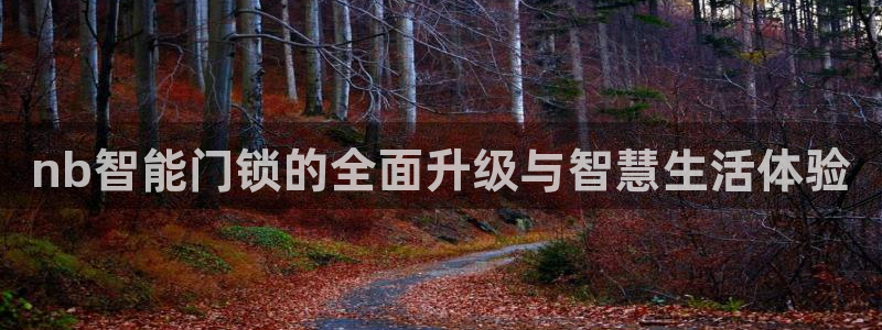 jdb电子大奖：nb智能门锁的全面升级与智慧生活体验