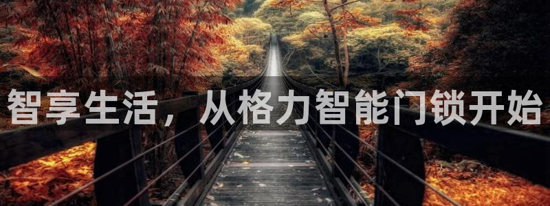 jdb电子变脸破解：智享生活，从格力智能门锁开始