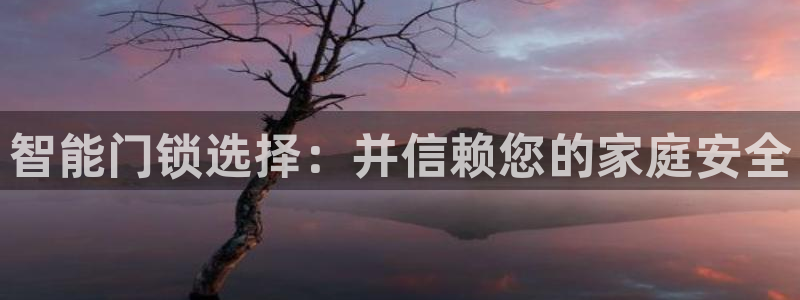 Jdb电子怎么赢不了：智能门锁选择：并信赖您的家庭安全