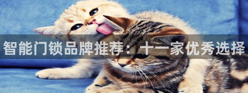 jdb游戏爆分时间段：智能门锁品牌推荐：十一家优秀选择