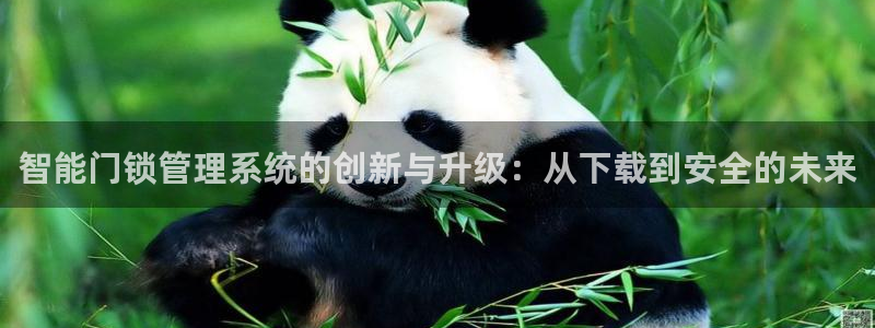 JDB电子夺宝72倍金刚：智能门锁管理系统的创新与升级：从下