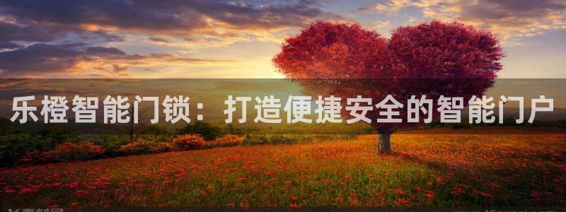 jdb电子平台：乐橙智能门锁：打造便捷安全的智能门户