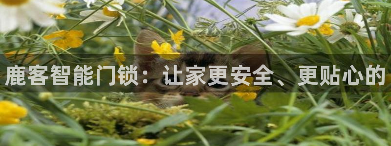 jdb电子变脸2大奖视频：鹿客智能门锁：让家更安全、更贴心的