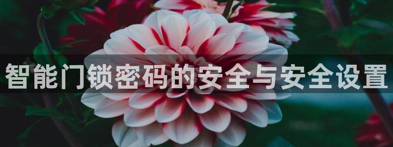 JDB游戏视频：智能门锁密码的安全与安全设置