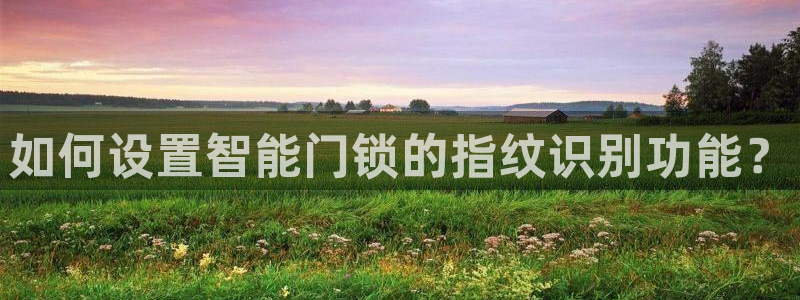 JDB平台临时维护：如何设置智能门锁的指纹识别功能？