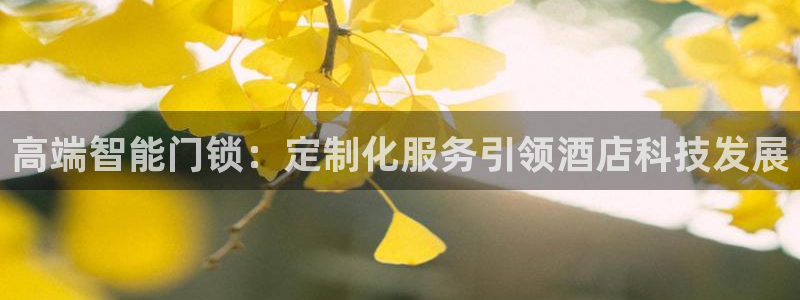 jdb电子平台首页：高端智能门锁：定制化服务引领酒店科技发展