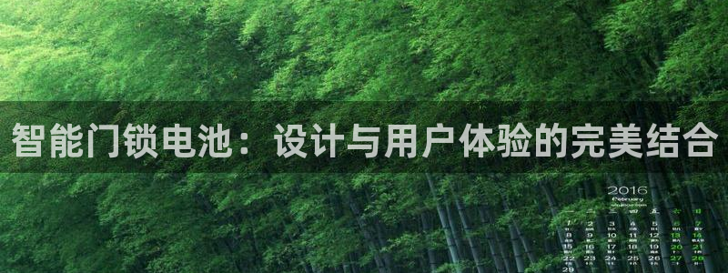 jdb电子必输：智能门锁电池：设计与用户体验的完美结合