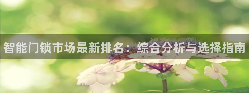 jdb电子安卓版客户端下载：智能门锁市场最新排名：综合分析与