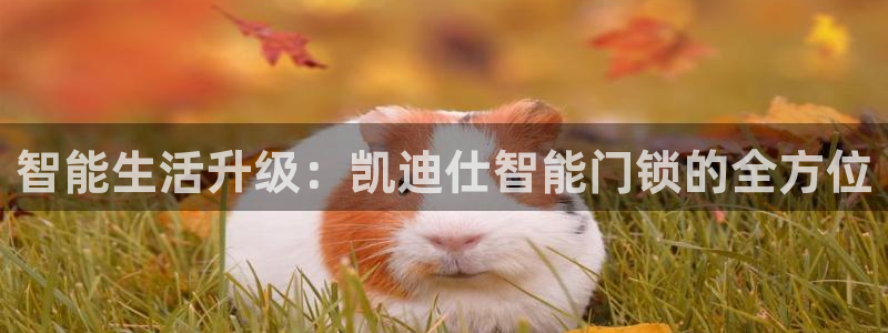 jdb电子试玩链接：智能生活升级：凯迪仕智能门锁的全方位