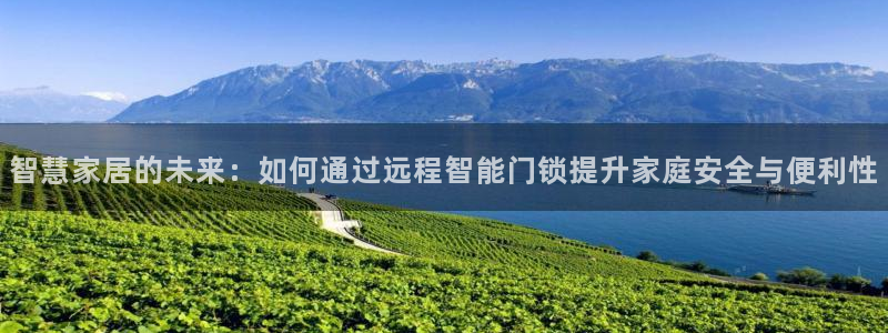 夺宝jdb电子变脸：智慧家居的未来：如何通过远程智能门锁提升