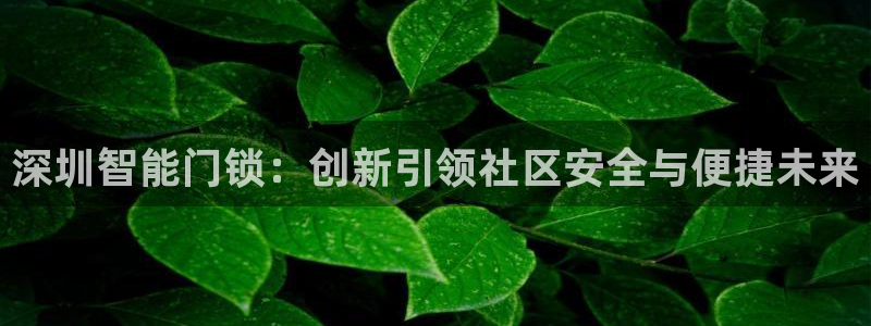 JDB电子安卓版客户端下载：深圳智能门锁：创新引领社区安全与
