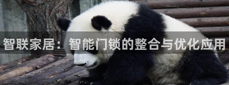 jdb电子夺宝官网：智联家居：智能门锁的整合与优化应用