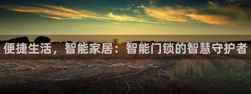 jdb电子台湾黑熊：便捷生活，智能家居：智能门锁的智慧守护者