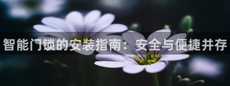 JDB电子联系方式：智能门锁的安装指南：安全与便捷并存