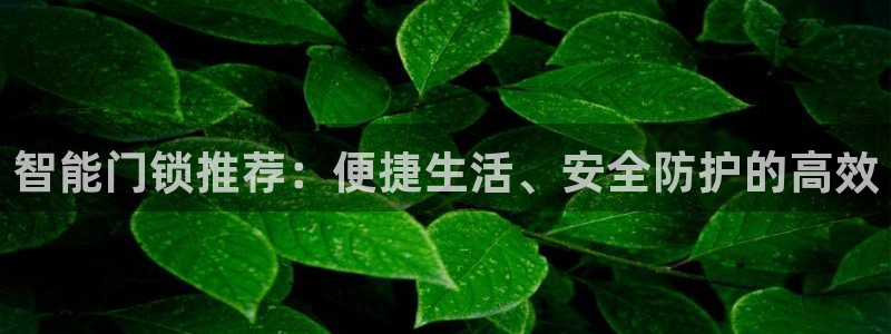jdb游戏爆分：智能门锁推荐：便捷生活、安全防护的高效