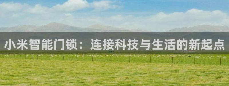 jdbc注册驱动详解：小米智能门锁：连接科技与生活的新起点